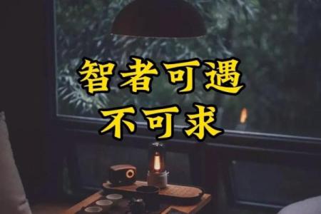 惜命的人：懂得珍惜生命的真谛与智慧