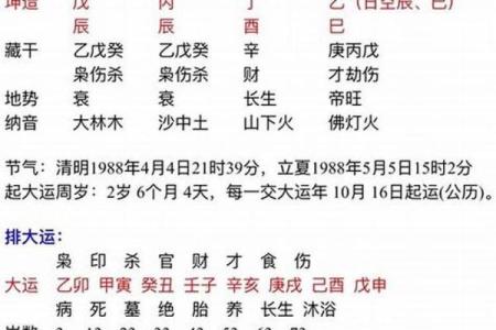 奎罡命的秘密：揭示命运中的隐忧与挑战