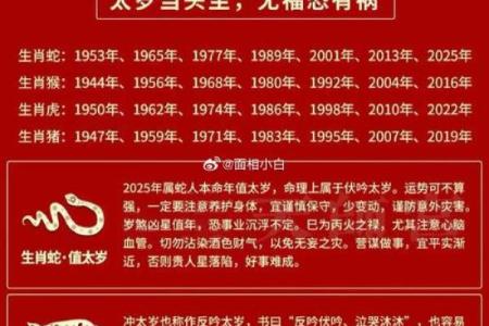 揭开1977丁巳年命运的神秘面纱：揭示你与生肖蛇的缘分与使命