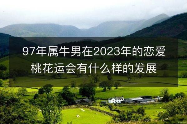 1998年牛年出生的人，值得关注的命运与性格解析