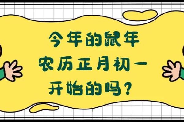 1948年鼠年命理解析：探索温和而智慧的命运之旅