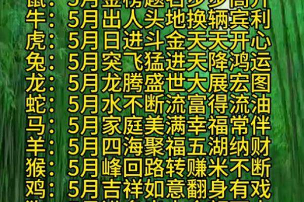 属猪的人在2023年10月26日命运解析：智慧与机遇并存