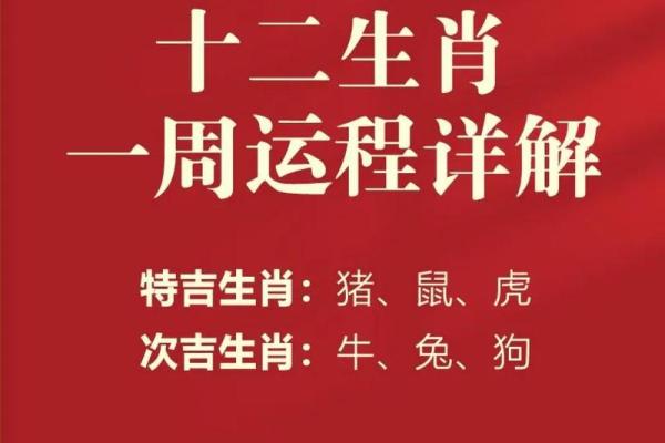 属猪的人在2023年10月26日命运解析：智慧与机遇并存