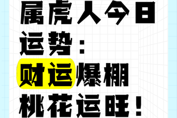 2022虎年运势详解：如何把握命运中的机遇与挑战