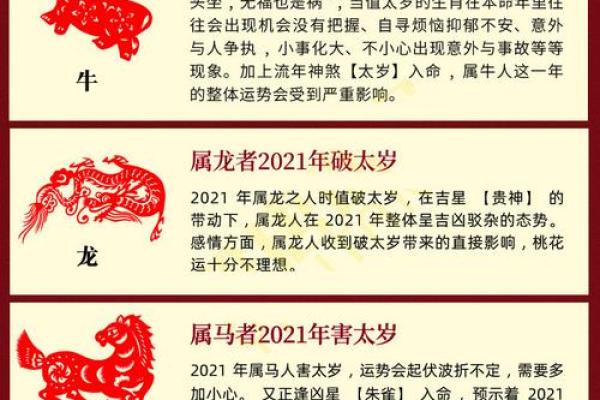 2022虎年运势详解：如何把握命运中的机遇与挑战