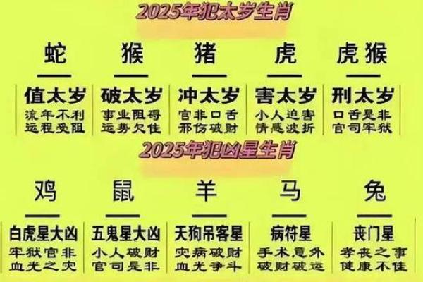 虎的五行解析与命理深度探索：揭开虎年的神秘面纱