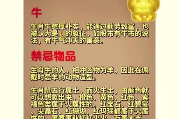 真命夫子是什么生肖？揭秘他身上的十二生肖之谜！