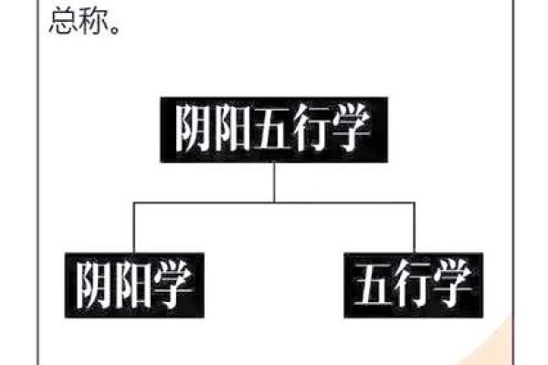 探索命理的奥秘：如何通过命理改善人生运势？