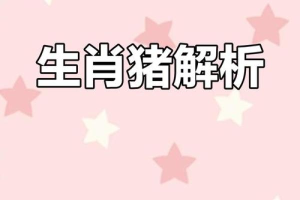 了解48属猪的人命运与性格特点，揭示他们的生活哲学与成长之路