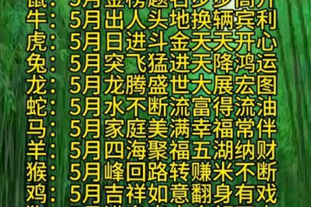 属猪的人在2023年10月26日命运解析：智慧与机遇并存