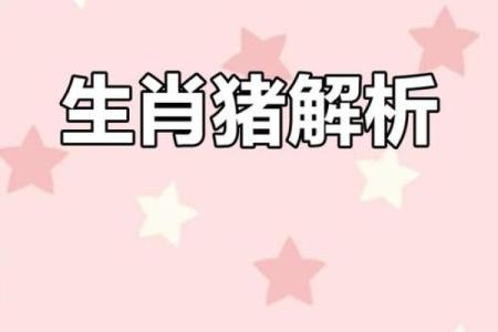 了解48属猪的人命运与性格特点，揭示他们的生活哲学与成长之路