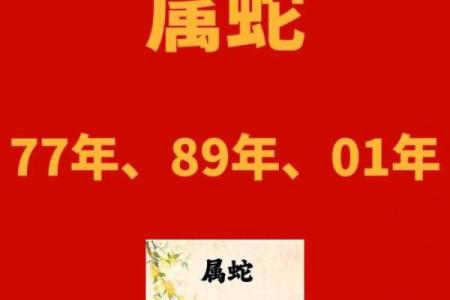 探秘63岁：属什么生肖与命格，解读人生的智慧与魅力