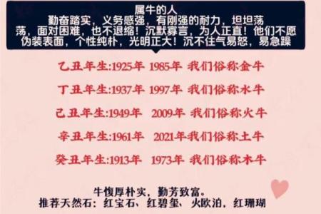 1985年牛属人的命运解析：九宫格中的福气与选择