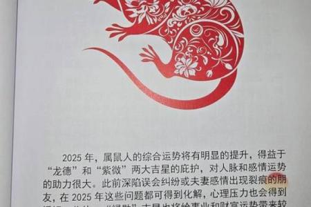 2025年属什么？揭开命理迷雾，探索你的运势与性格！