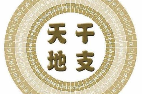 三世书教你：如何通过时辰与命运揭示人生奥秘