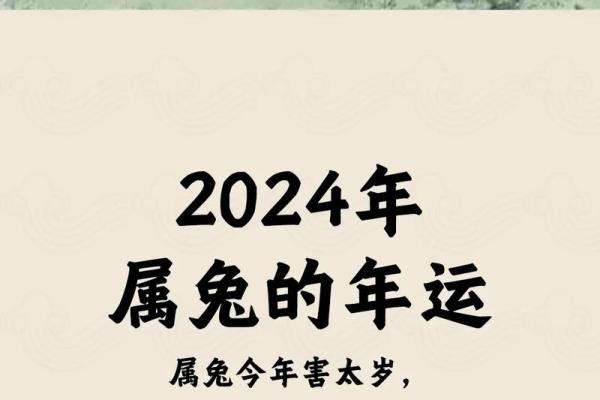 2023年兔年命运详解：从生肖兔看你的运势与性格特点