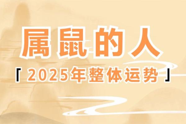 2020年鼠年命理解析：解密属鼠之人的性格与运势