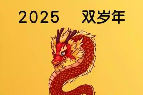 2024年龙年出生的人：命运与机遇的完美交融