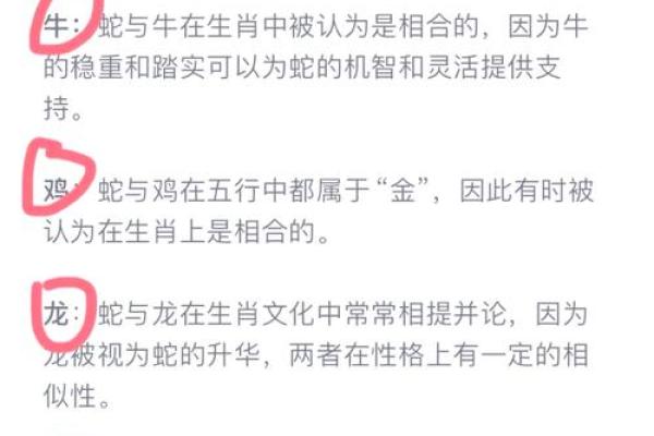 探索先天之命与生肖的微妙联系，解读你的命格影响人生有趣之处