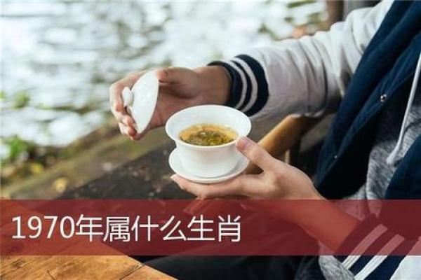 水蛇命与生肖配对：探寻最佳缘分的秘密