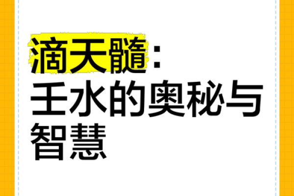 壬水命：探寻适宜与忌讳的平衡之道