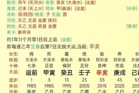 金鸡命格解析：揭秘金鸡在命理中的独特象征与特质