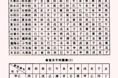 30岁属狗的人，命理解析与人生运势的深度剖析