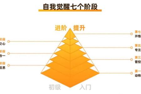 男性命格分析：揭示不同命格影响个人性格与命运的秘密