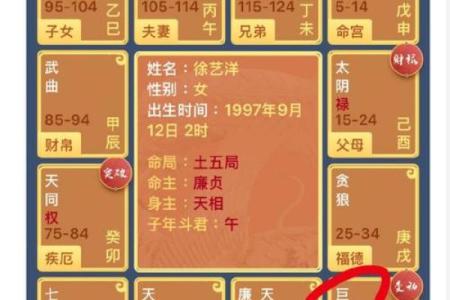 49岁属什么命格？揭示命运与人生的奥秘