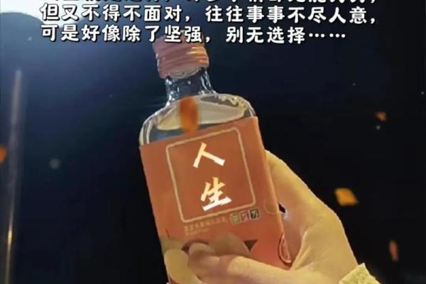 命短的人生：活出不一样的精彩与意义