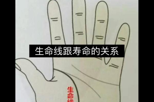 命短的人手相特征揭秘：看手相学如何揭示生命的轨迹