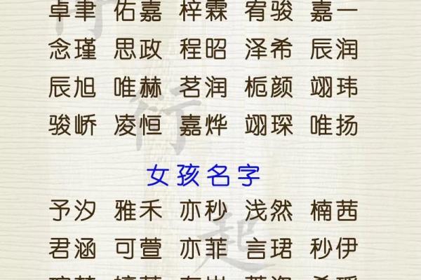 2023兔年出生宝宝的命运与性格分析：让我们一起探讨！