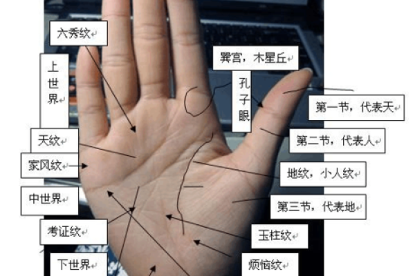 通过手相分析命理，揭秘你的命运之路！