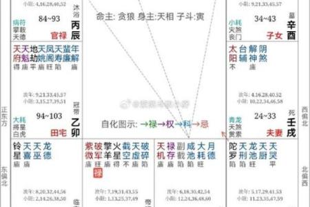 解读“文昌不在命”的深层含义与影响