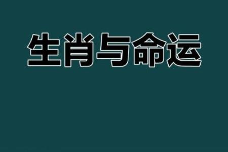 13岁孩子的生肖与命运解读：探索生命的神秘之旅