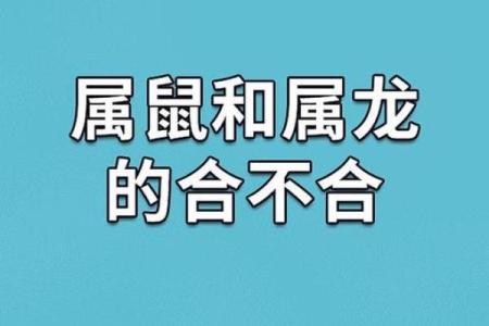 220年是鼠年，探讨鼠年的独特命运与人生启示