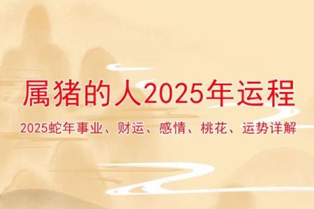 2003年属猪人命运解析：性格特征与未来发展