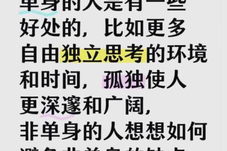 单身丁克：自由与责任交织的命理之路