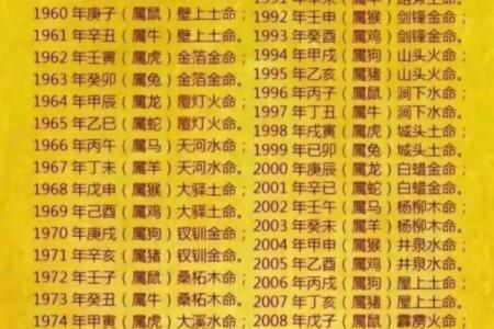 探讨1949年出生的龙命：命运与性格的深度解析