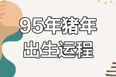 属猪20多岁的人生命运解析：如何利用优势迎接挑战