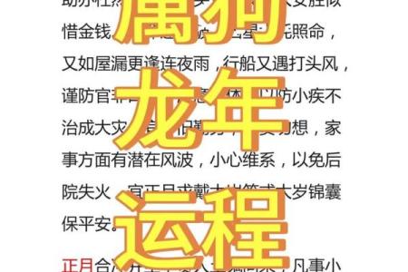 2019年属狗人的命运解析：如何把握年运与生活美好未来