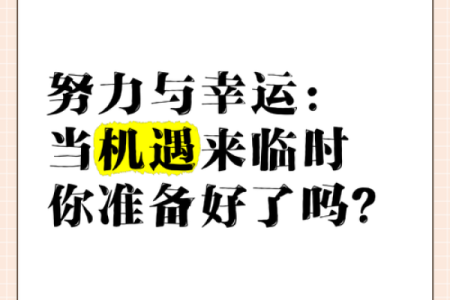 功夫在命里：探寻生命中的努力与机遇