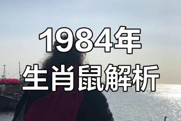 探秘1996年鼠年：揭开其命运与性格的神秘面纱