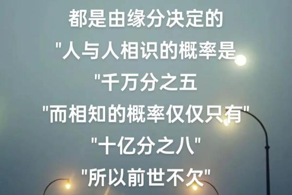 命理揭秘：灵魂伴侣的命相解析，人与人间的深厚缘分!