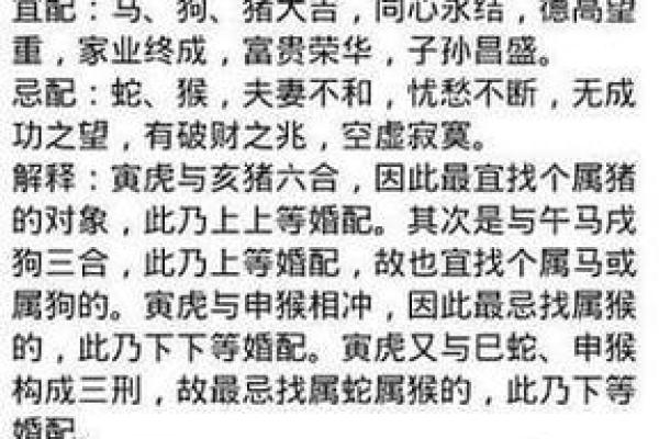 1995年猪男生的命运与性格解析：探寻财富与爱情的奥秘