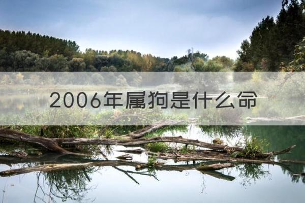 1994年属狗的土命解析：幸运与挑战并存的生命之旅