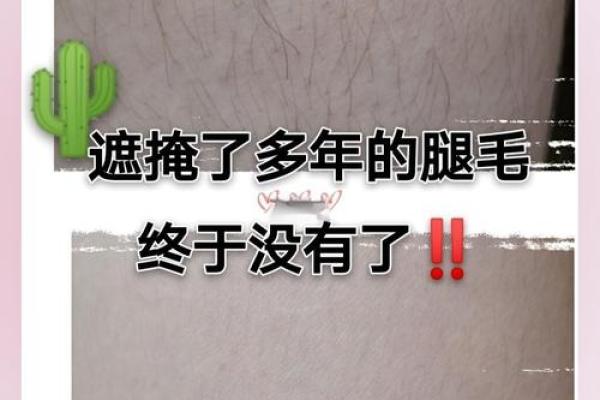 腿上长毛的人是什么命？探寻背后的文化与命理