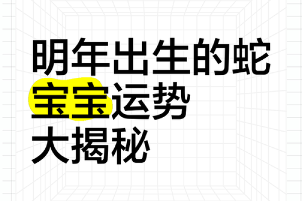 2002年出生的蛇年命：智慧与魅力的结合之路