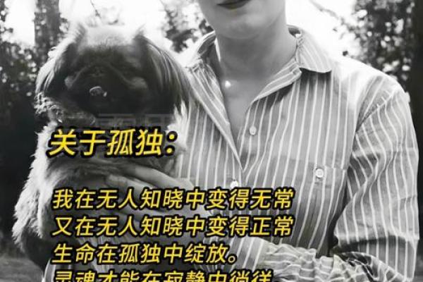 探索缺少伴侣命格的奥秘：解密“单身”之道