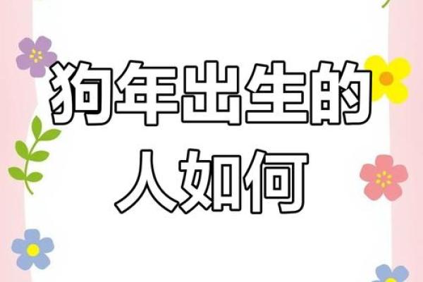 94年属狗人4月命运解析：把握机会，迈向成功之路